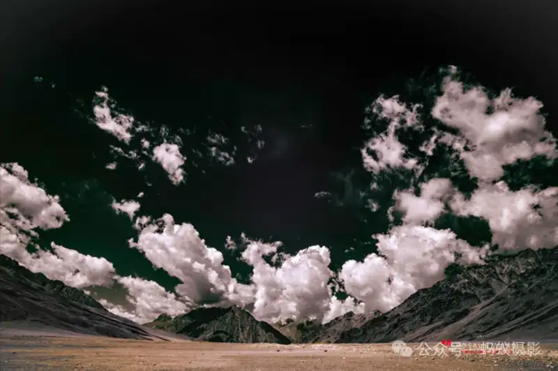 分享会配图