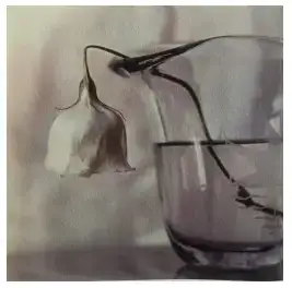 分享会配图
