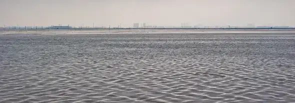 分享会配图