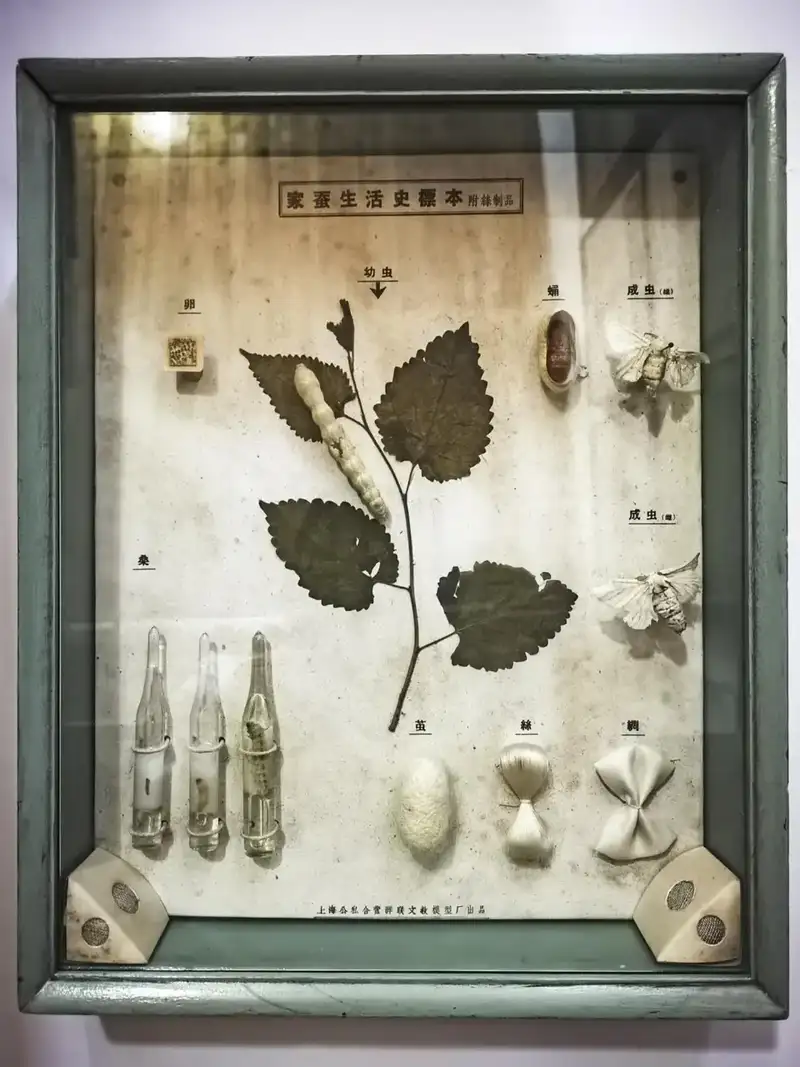 分享会配图