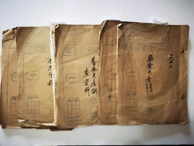 分享会配图