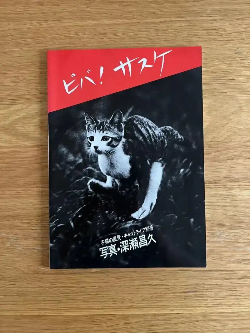分享会配图