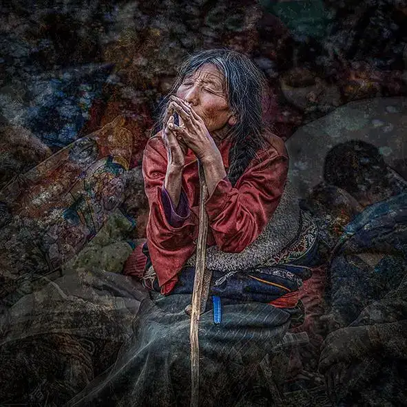 分享会配图