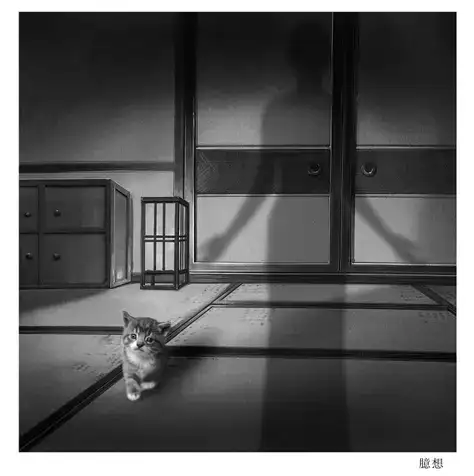 分享会配图