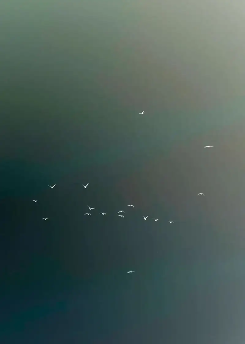 分享会配图