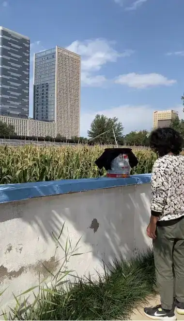分享会配图