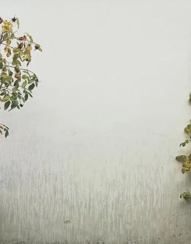 分享会配图