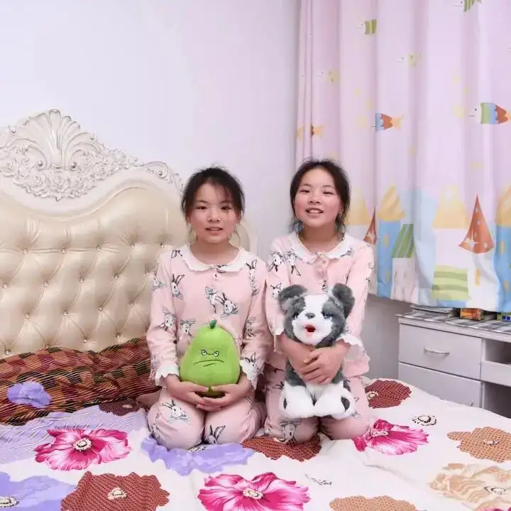 分享会配图