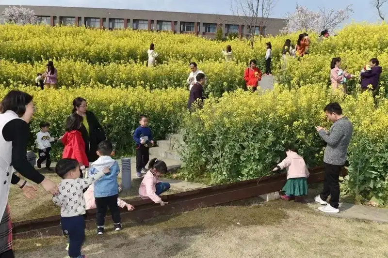 分享会配图