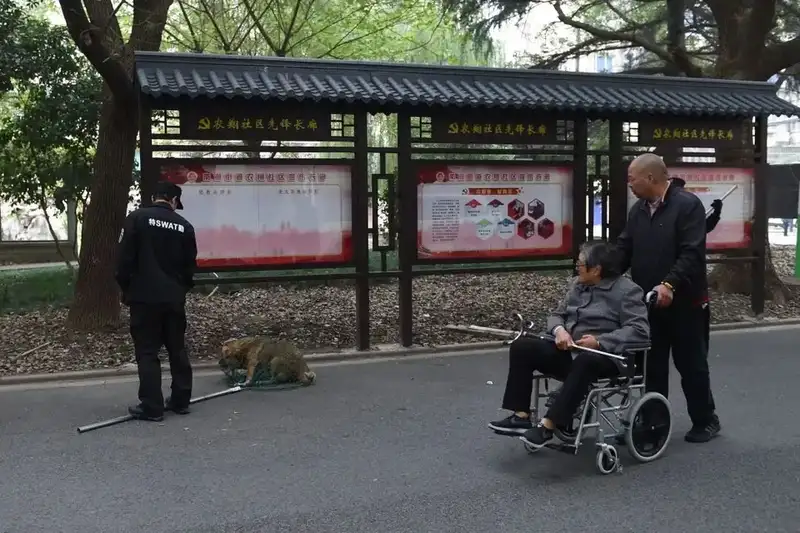 分享会配图