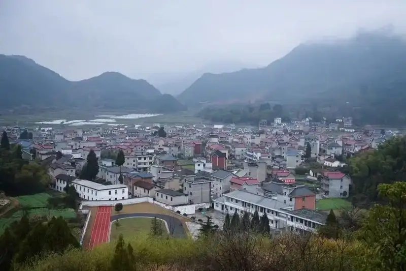 分享会配图