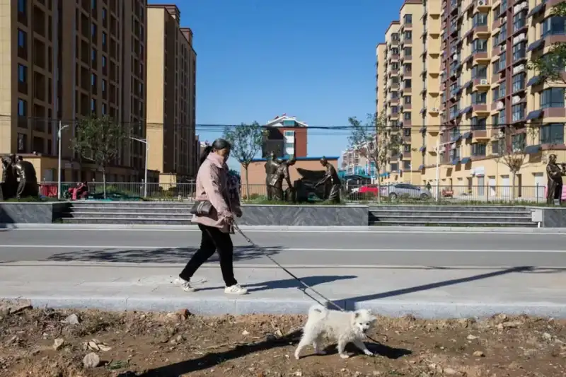 分享会配图