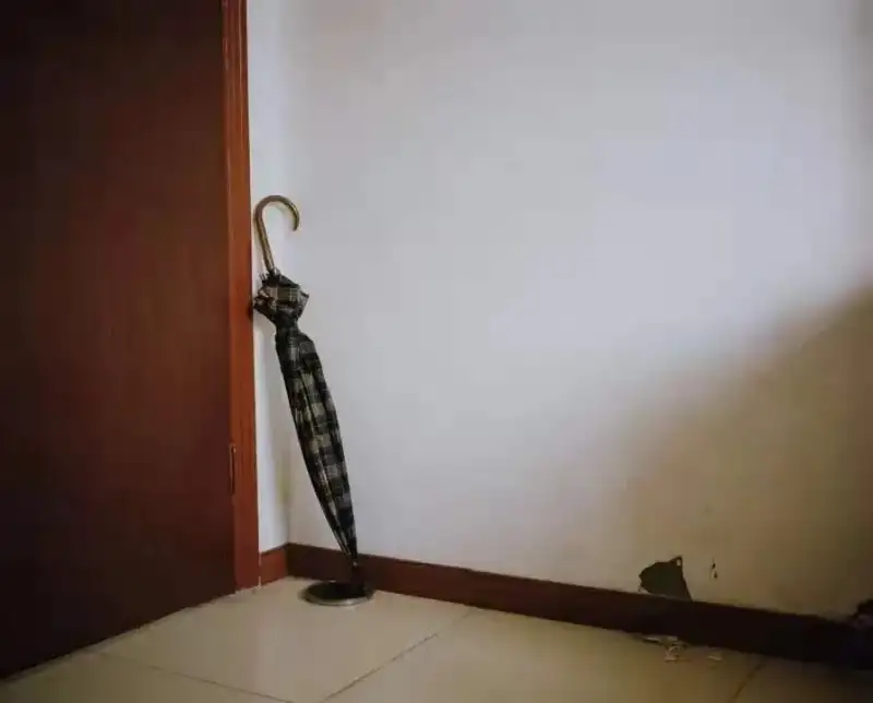 分享会配图