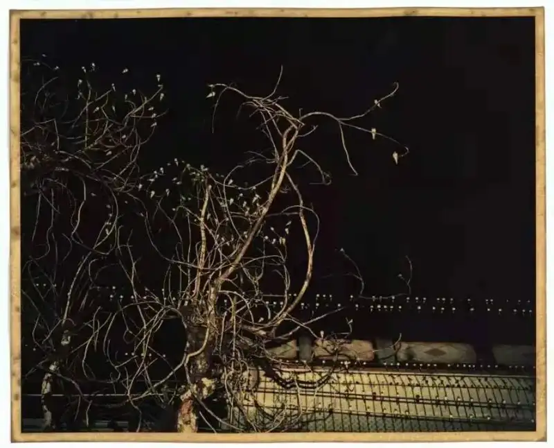 分享会配图