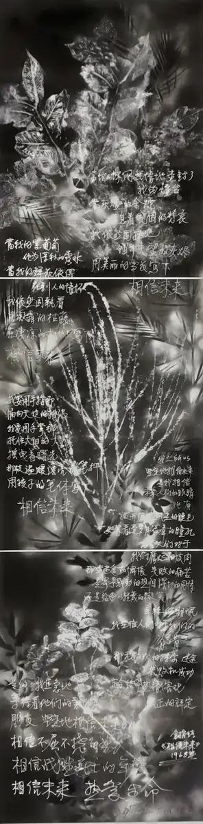 分享会配图