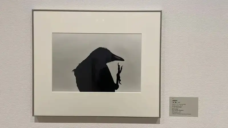 分享会配图