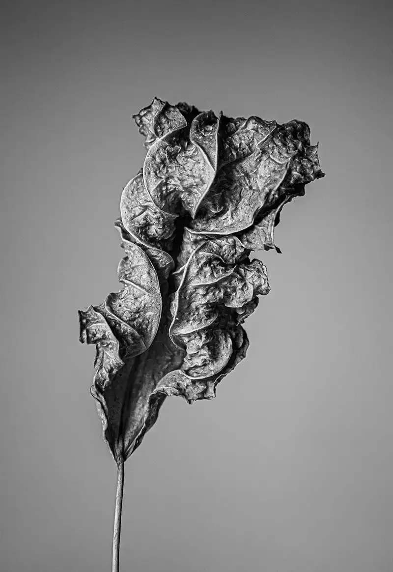 分享会配图