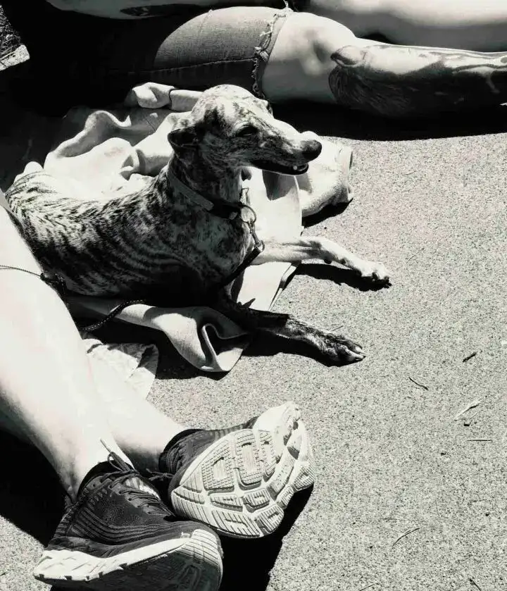 分享会配图