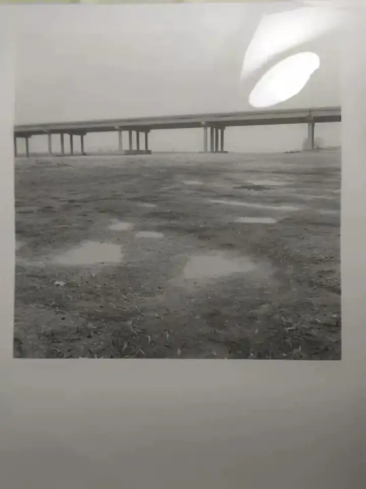 分享会配图