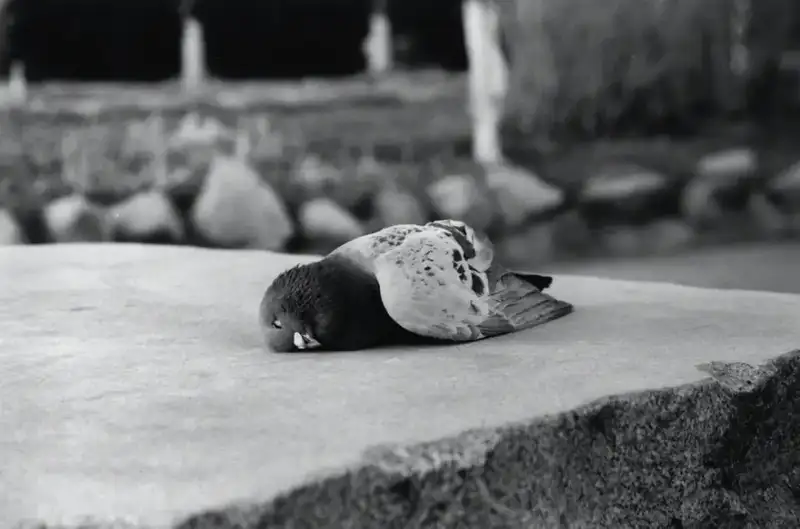 分享会配图
