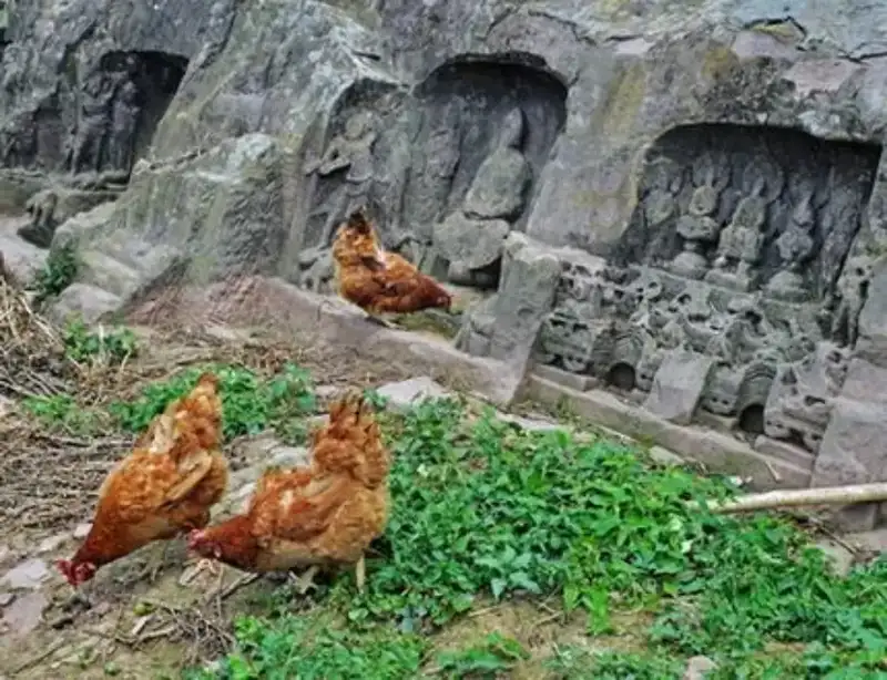 分享会配图