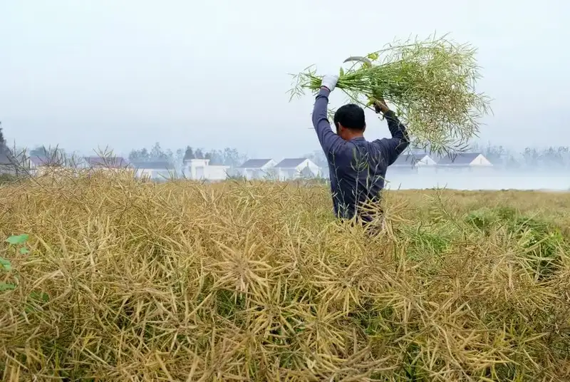 分享会配图
