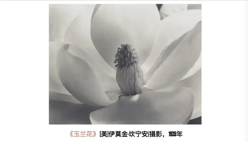 分享会配图