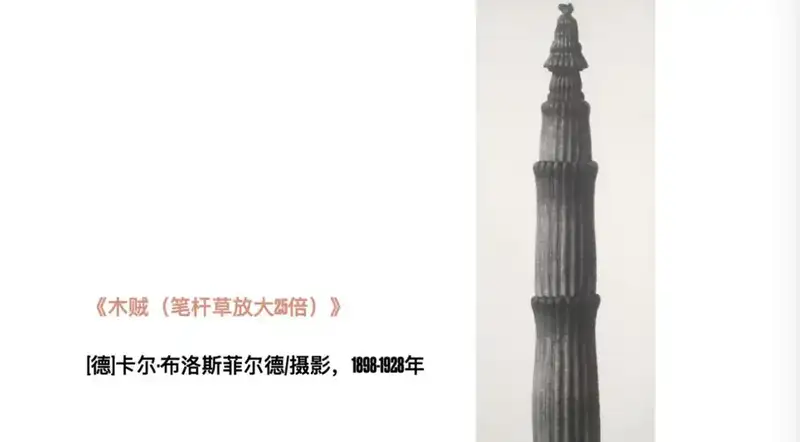 分享会配图