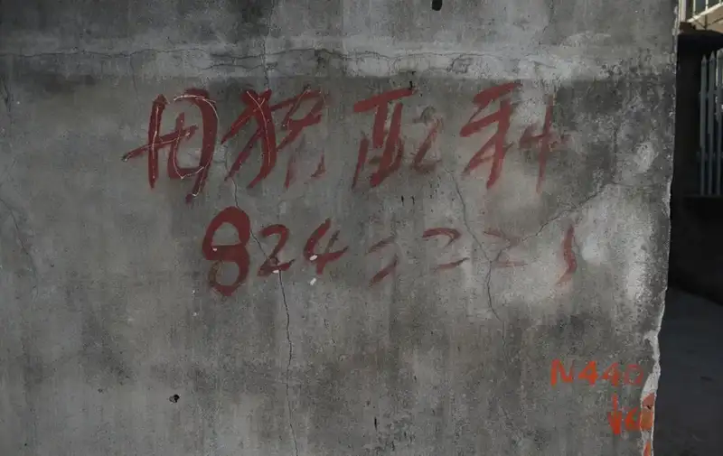 分享会配图