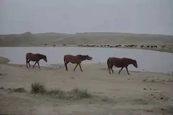分享会配图